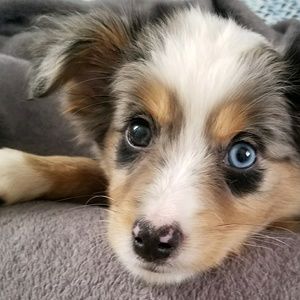 Meet your Posher, Jade